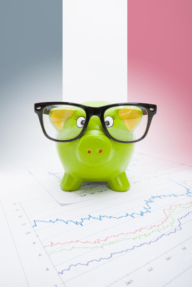 Piggy,Bank,With,Flag,On,Background, ,France